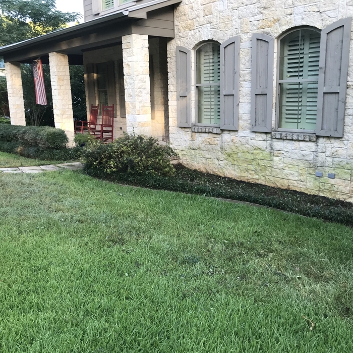 Front landscape bed cleaned up!