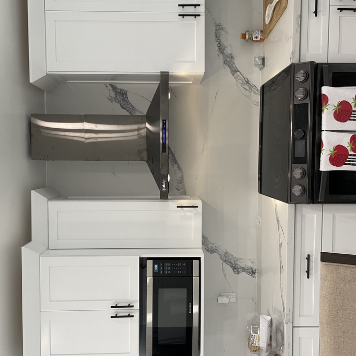 Wall mount range hood