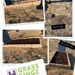 Grave site project