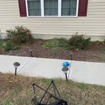 Clean-up/ New mulch