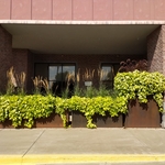 Planter boxes