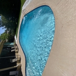 After Mustard Algae Treatment
