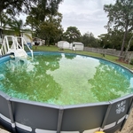 Green Algea infestation