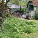 Lawn Maintenance