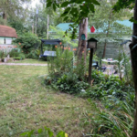 Lawn Maintenance