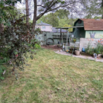 Lawn Maintenance