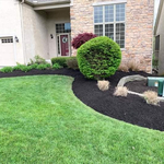 Mulch