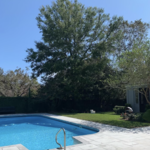 Tree Removal