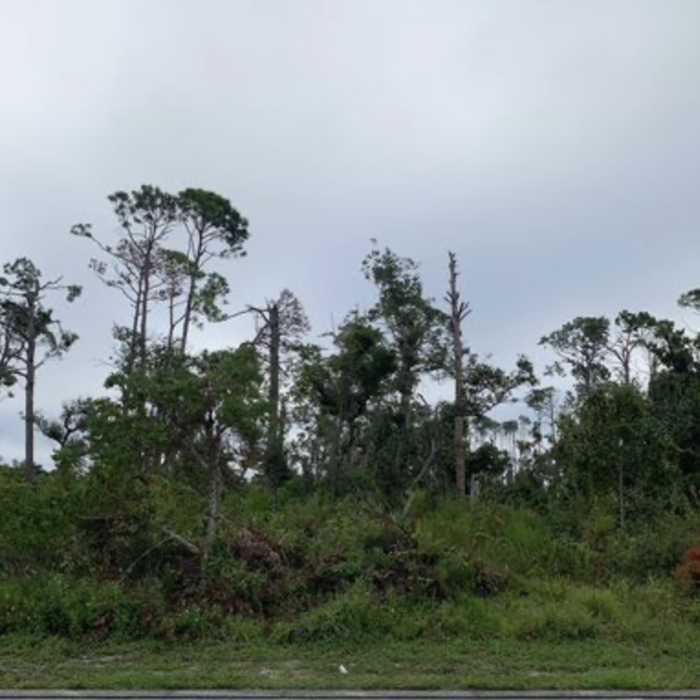 Land clearing