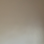 Painted the whole house