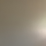 Painted the whole house