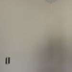 Painted the whole house