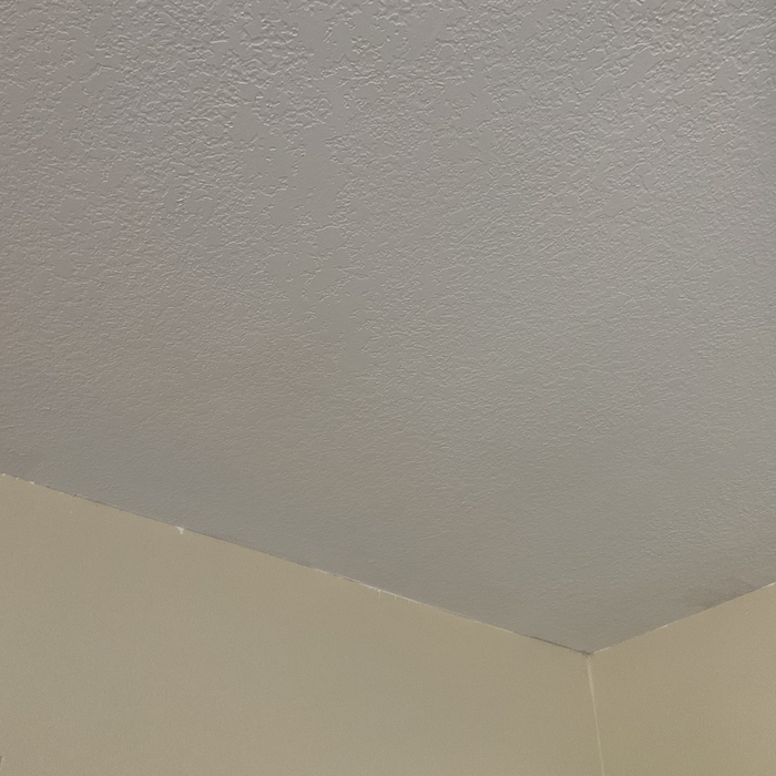 Painted the whole house