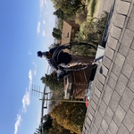 INSPECTION & CLEAN CHIMNEY 84401
