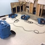 Post mold remediation dry out.