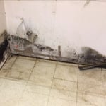 Microbial growth on drywall behind vanity.