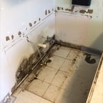 Microbial growth on drywall behind vanity