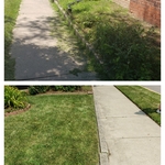 Yard Clean Up