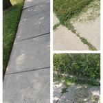 Yard Maintenance