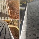 Gutter Clean Up