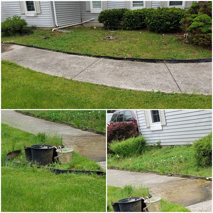 Yard Clean Up