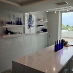 Modern Naples Remodel