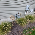 Meter before