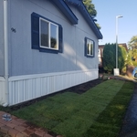 new grass