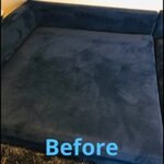 Home/Carpet Cleaning