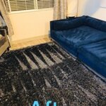 Home/Carpet Cleaning