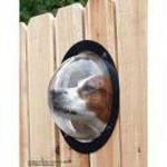 Let your dogs see out!