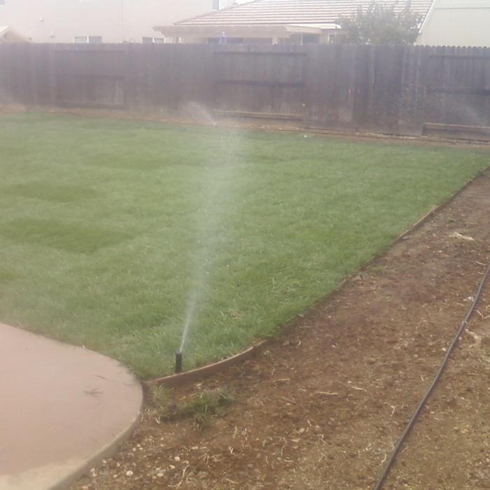 New lawn and sprinklers