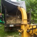 Tree Service