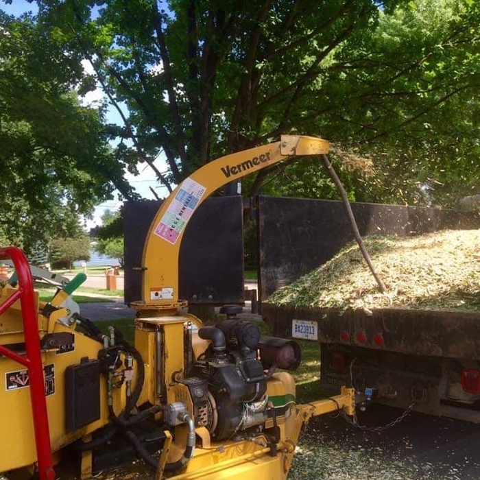 Tree Service