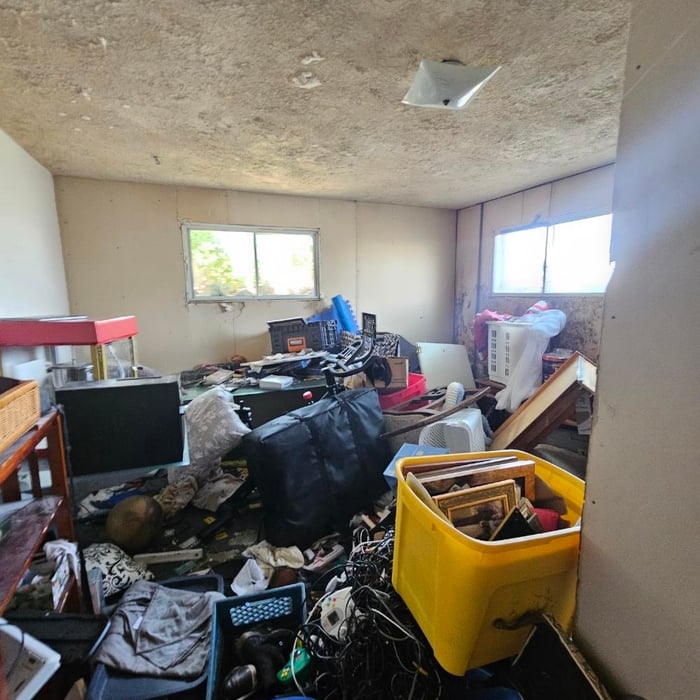 Hoarder House