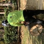 Complete Tree Removal