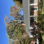 Complete Tree Removal