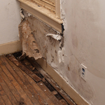 Mold recovery