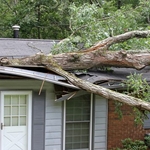 Roof Damage