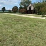 Mow, weedeat, edge, cleanup