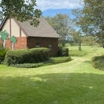 Backyard mow & weeded
