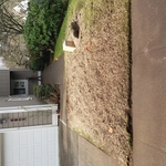stump grinding utilities