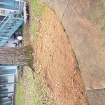 stump grinding apartments
