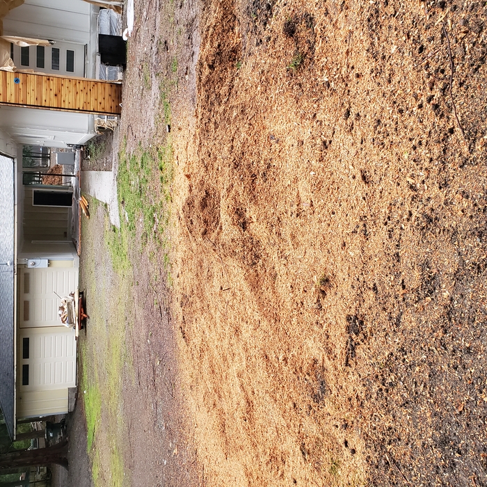 home remodeling(stump grinding)