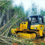 Brush & Trees Land Clearing