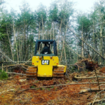 Brush & Trees Land Clearing