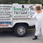 BEE JOB..