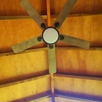 Screened Room
