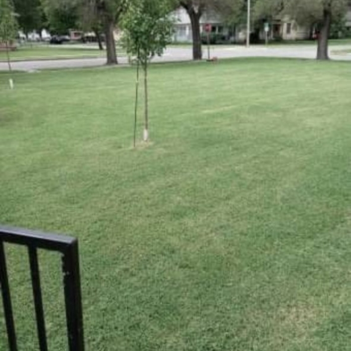 Landscaping