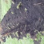 Drainage